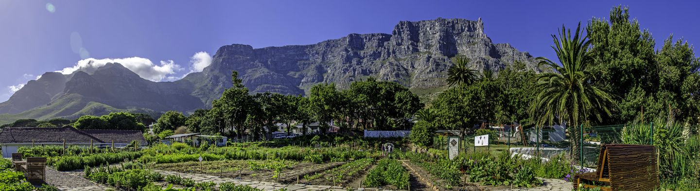 Urban Farming Cape Town