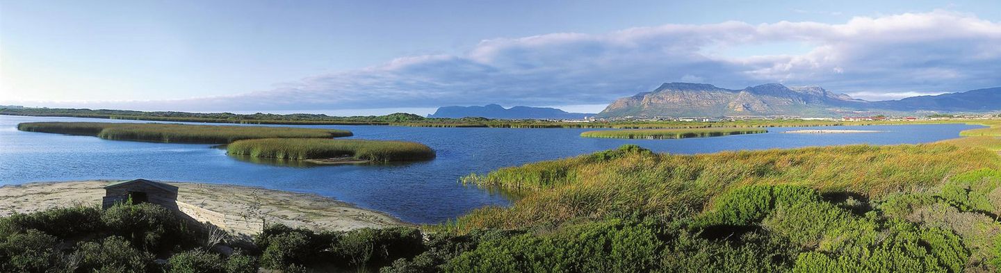 Cape Nature Conservation
