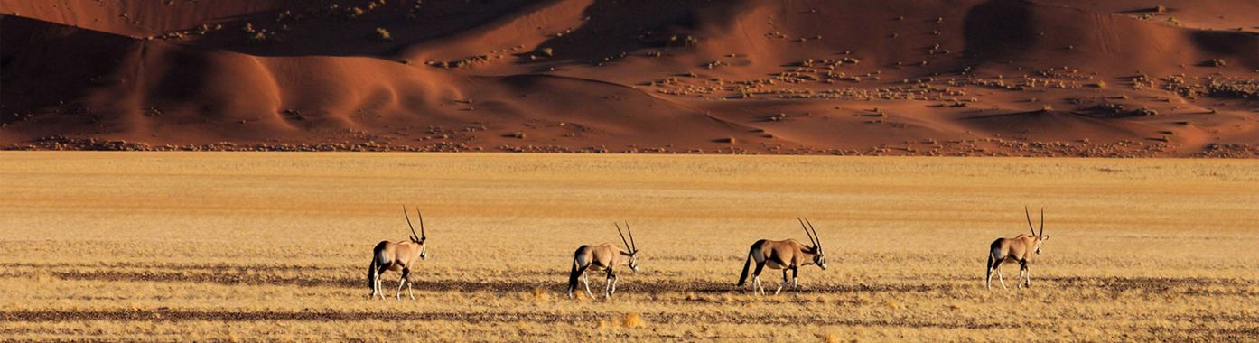 Namibia is open again...