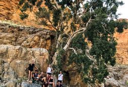 Wine and Wildlife Experience_7