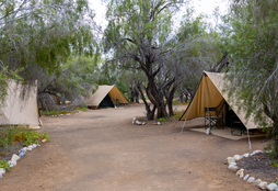 Wine and Wildlife Experience_9