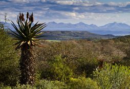 African_Wildlife_Experience_9