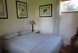 Horse Trail Experience 16