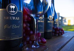 Wine and Wildlife Experience_1