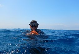 Scuba Diving 8