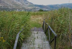 Cape Nature Conservation 11
