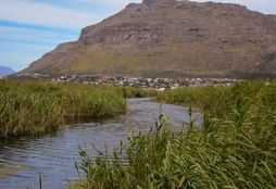 Cape Nature Conservation 12
