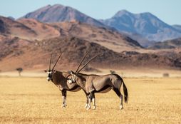 Namib Wilderness Experience 4