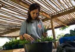 Urban Farming 8