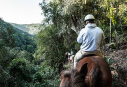 Horse Trail Experience 11