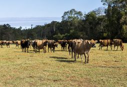 Organic Farm Experience 3