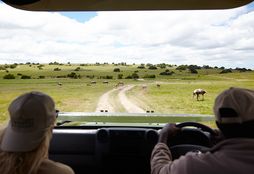 Big 5 Game Reserve Conservation 7