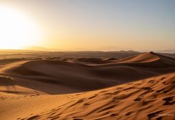 Namib Wilderness Experience 11