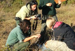 Cape Nature Conservation 7