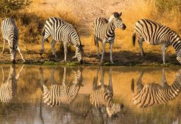 Big Game Reserve 2