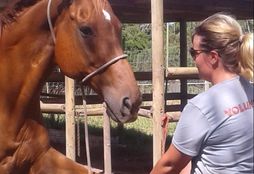 Horse Trail Experience 9