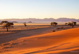 Namib Wilderness Experience 1