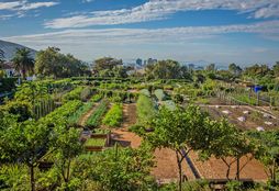 Urban Farming 4