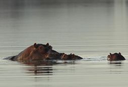 Cape Nature Conservation 5