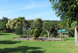 Horse Trail Experience 12