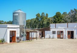 Organic Farm Experience 2