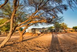 Namib Wilderness Experience 13