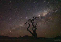 Namib Wilderness Experience 9
