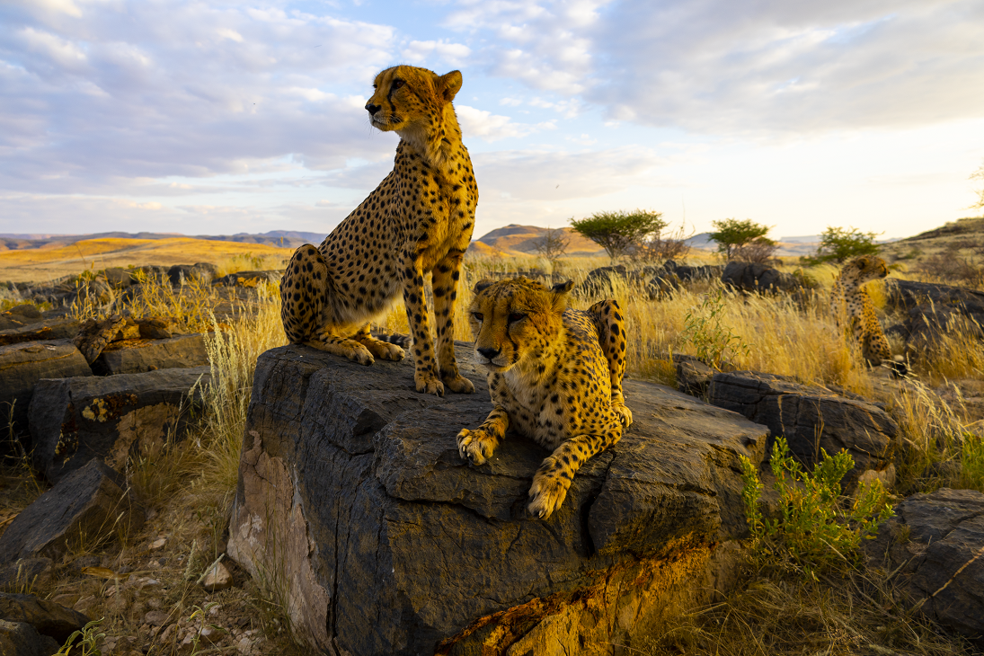 Wine and Wildlife Experience_2